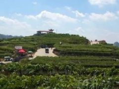 -大泽山风景名胜区