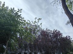 -黑龙江中医药大学