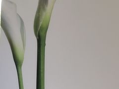 -福奈特洗衣洗鞋(温榆广场店)