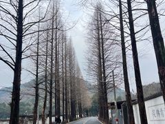 -会稽山峡洞漂流-上青古道