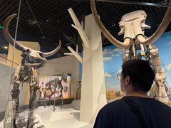 -国家自然博物馆