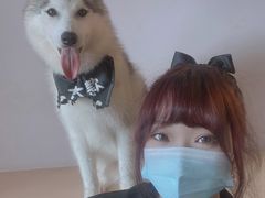 -Husky Go! 哈士奇体验馆·宠物咖啡厅狗咖