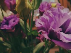 -谷莠子花艺·气球派对·绿植造景·花艺沙龙(金光华广场店)