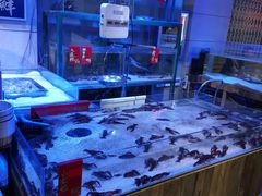 -十六蒲(桂林路店)