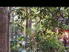 -二荆条·蜀鲜汇城市森林火锅