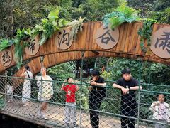 -西双版纳原始森林公园