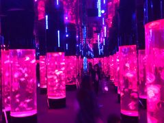 -成都浩海立方海洋公园