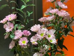 景观位-悦百味·品质川菜(上城店)