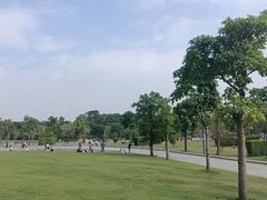 -深圳人才公园