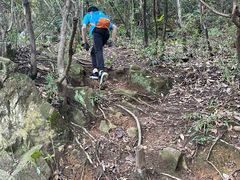 -杭州半山国家森林公园