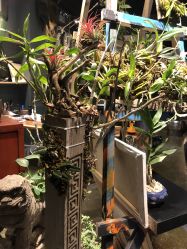 -周忆刺青原创设计定制