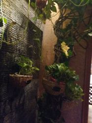 -红人馆造型世爵国际