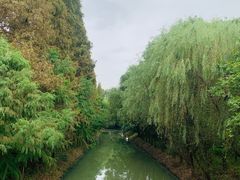 -同里国家湿地公园