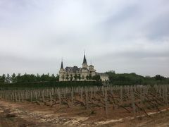-北京张裕爱斐堡酒庄