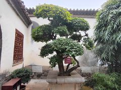 -朱家花园