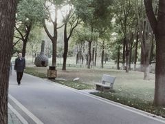 -堤角公园