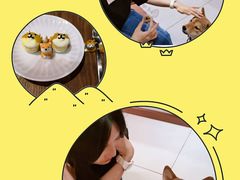 -柴务处·柴犬主题狗咖