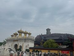 -上海东林寺(金山区)