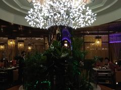 大堂-润园四季椰子鸡火锅(海上世界店)
