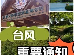 -上海海湾国家森林公园