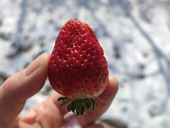 -团泊镇示范集贸市场