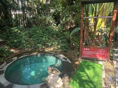 -碧桂园润杨溪谷温泉酒店