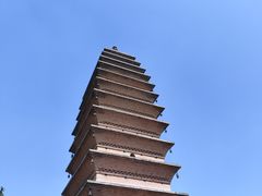 -洛阳白马寺