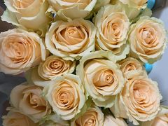 -循礼门鲜花花市(武汉循礼门店)