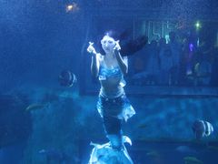 -威海华夏城景区