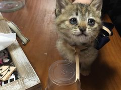 -Summer House夏莫手工坊团建活动(世博源店)