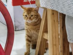 -云晓光头烧烤吧(新大陆广场店)