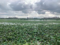 -天津东丽湖风景区