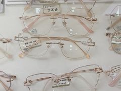 -潘多拉眼镜·蔡司依视路明月(潘家园店)