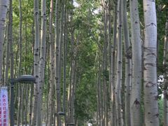 -仁和公园(顺义区)