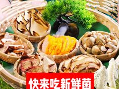 -菌之家·专业纯野生菌火锅·特色炒菌