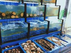 水产区-老东镇啤酒屋海鲜加工·蒸汽海鲜·海鲜烧烤(台东店)