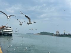 -海驴岛(荣成市)