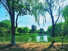 -大兴滨河森林公园