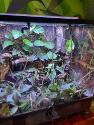 -酷嗒动物文化乐园(cutezoo西溪乐天城店)