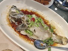 清蒸石斑-唐苑酒家·岭南粤菜名店(太古仓店)