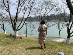 -羊山湖公园
