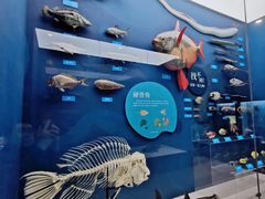 -国家自然博物馆