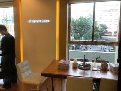 -THE LOG SALON 记录
