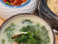 -喜上喜鸡煲翅(吉大店)