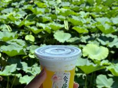 -阳澄湖半岛旅游度假区