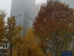 -重庆市江北嘴中央商务区中央公园