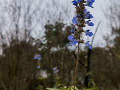 -白鹭湾湿地公园