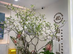 -山与蓝·轻糖鲜果蛋糕(勒泰店)