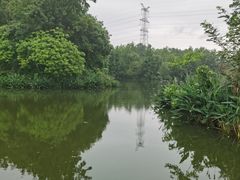 -桤木河湿地公园