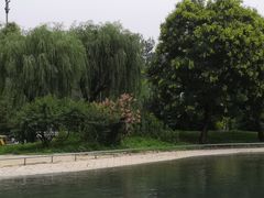 -柳浪游泳场